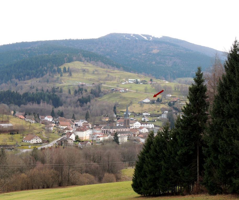 Les Hauts De Brochot Saint Maurice sur Moselle Ruang foto